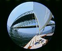 Picture Title - Great South Bay , Fisheye View