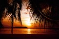 Picture Title - Maldivian sunrise