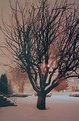 Picture Title - Winter Night -2.