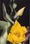 Yellow flower #43