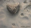 Picture Title - Cat foot print... on the beach!