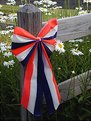 Picture Title - Patriotic Daisies