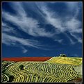 Picture Title - Toscana da sogno