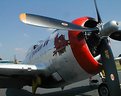 Picture Title - P-47 Beauty