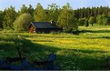 Picture Title - Swedish countryside