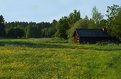 Picture Title - Swedish Countryside 2