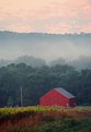 Picture Title - Barn with Morning Fog 1