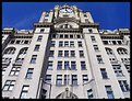 Picture Title - Royal Liver Building Looking Up