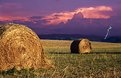 Picture Title - Hay Bales