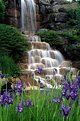 Picture Title - Garden Falls