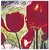 Red Tulips 003