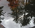 Picture Title - Pond Reflection