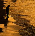 Picture Title - thinking on golden sea