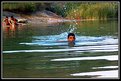 Picture Title - swimming at the lake