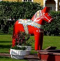 Picture Title - Red Horse in Mora