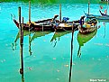 Picture Title - Mangrove River 