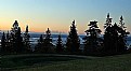 Picture Title - Trees & Sea