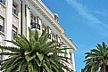 Picture Title - Palm Tree & Sky