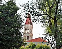 Picture Title - Trees & Church