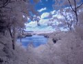 Picture Title - Lake Philpott overlook II