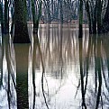 Picture Title - River Reflections