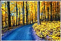 Picture Title - **Last Autumn**