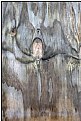 Picture Title - wood angel 2