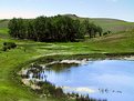 Picture Title - Prairie Scene