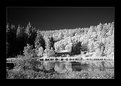 Picture Title - Blackberry Lake in Shades of Gray