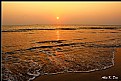 Picture Title - Golden Sea