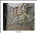 Picture Title - Shattered Outlook