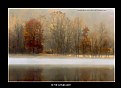 Picture Title - In the Autumn Mist