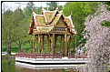 Picture Title - spring pagoda
