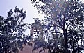 Picture Title - Church & Trees