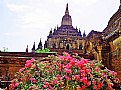 Picture Title - Flowers & Temple