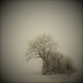 Picture Title - a winter's day