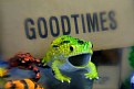 Picture Title - GOODTIMES