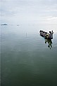 Picture Title - chilika lake II