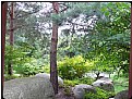 Picture Title - korean garden