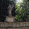 Picture Title - standing in the rain