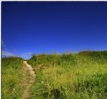 Picture Title - Stairway To Heaven