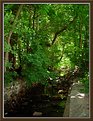 Picture Title - Deserted Brook  (Summer)