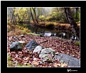 Picture Title - Autumn and the Mahwah