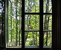 Picture Title - window-view