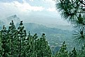 Picture Title - Trees & Mountain