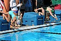 Picture Title - Swim Meet Dive