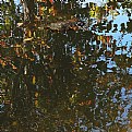 Picture Title - autumnal pond