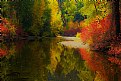 Picture Title - Refections of Autumn