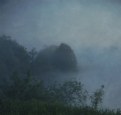 Picture Title - Night fog. (2)