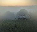 Picture Title - Fog at dawn.
